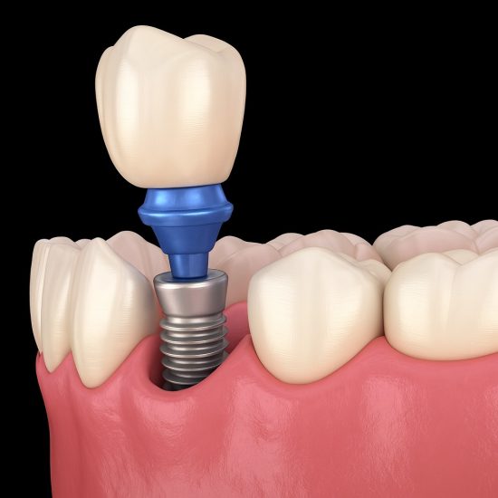 WhatsApp Image 2025-11-29 at 22.46.50